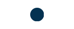 Introspect icon: a white eye on a navy square.